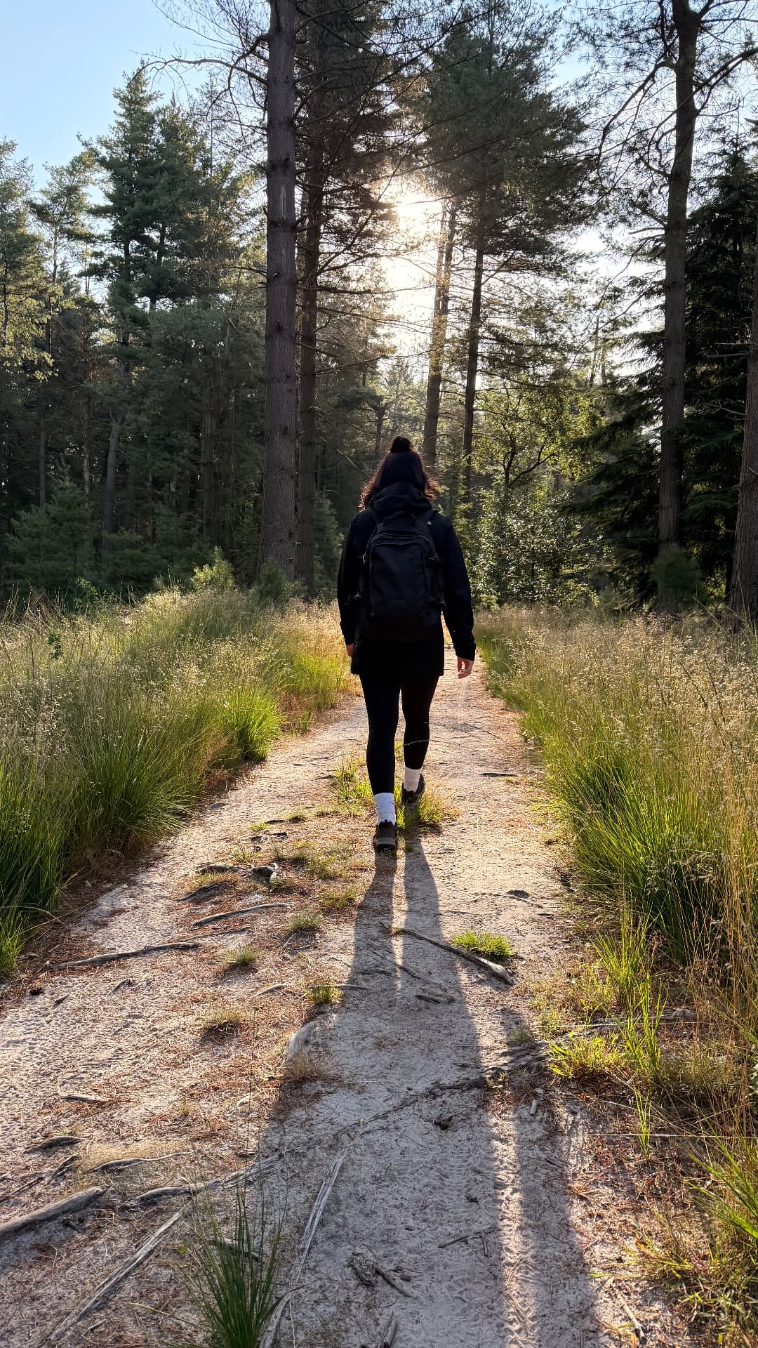 Wandelen over een zonnig bospad